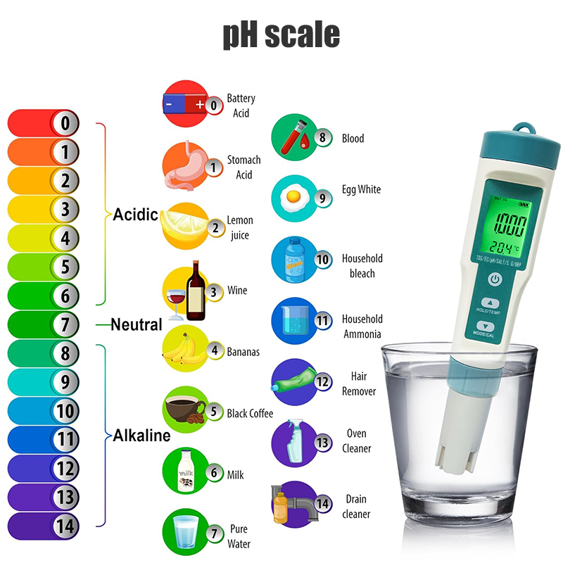 WESTTUNE – ph-mètre numérique  - Ph Meter Digital Water Tester avis et prix