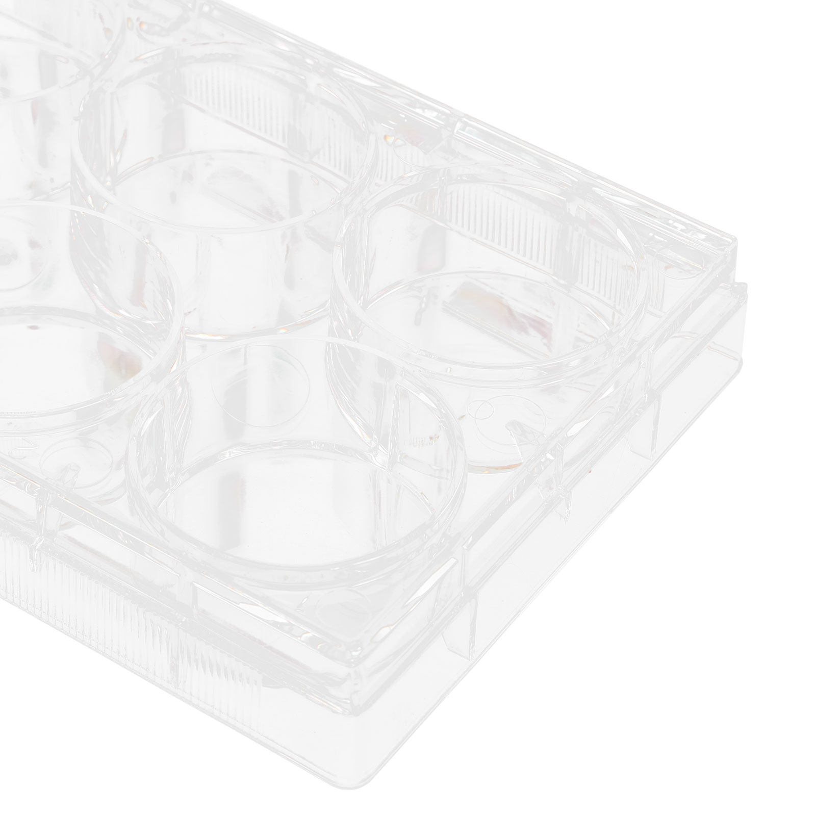 Plateau de culture cellulaire  - Lab Equipment avis et prix
